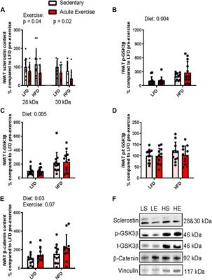 Characterization of sclerostin’s response within white adipose tissue to an obesogenic diet at rest and in response to acute exercise in male mice
